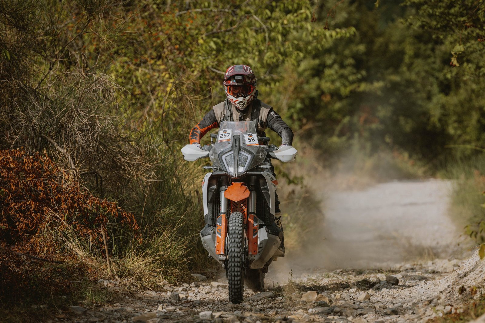 KTM Adventure Rally Italy 2026, rider in the dust on a forest trail in Umbria