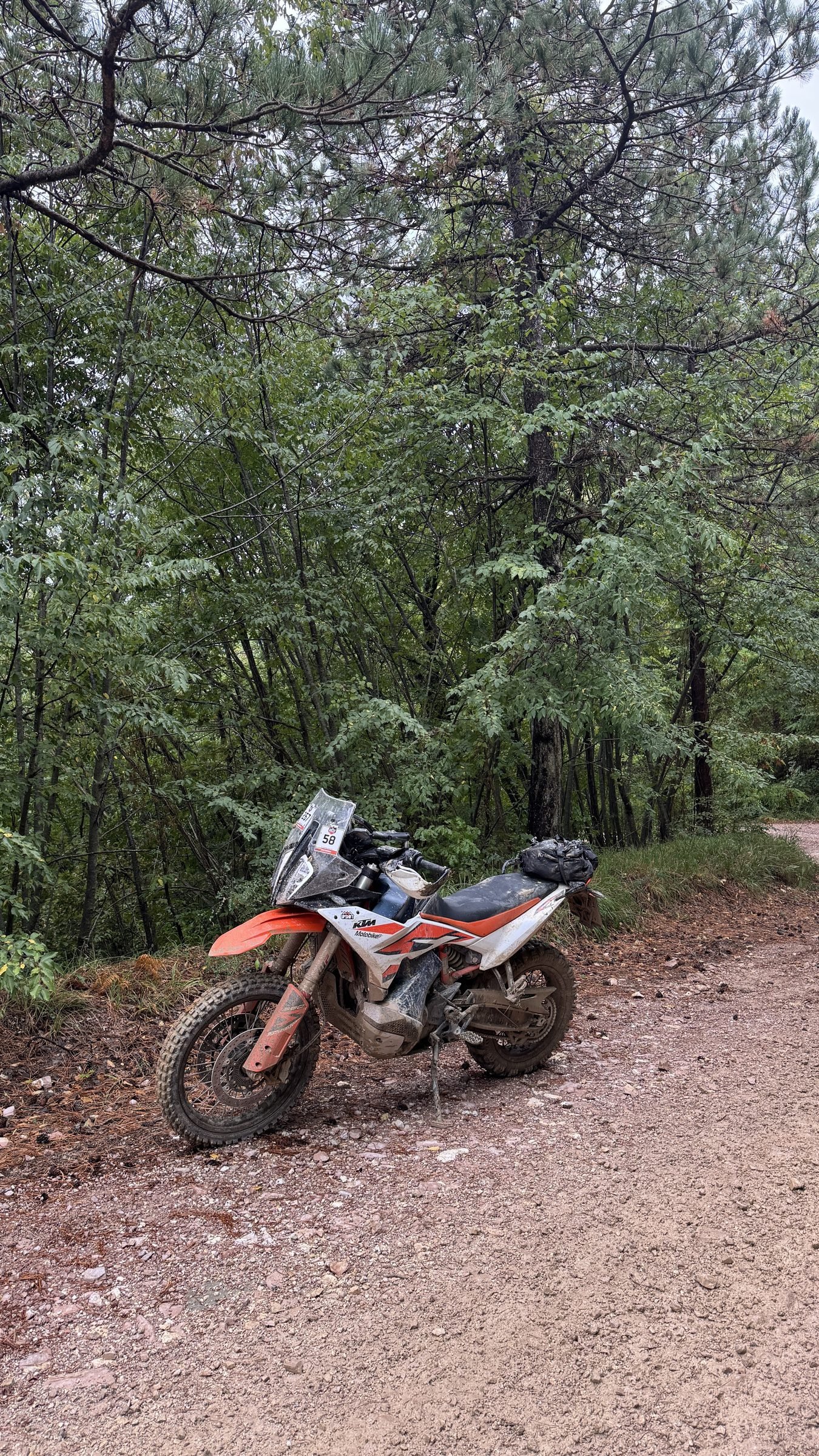 KTM adventure bike parked on a forest gravel track, Umbria
