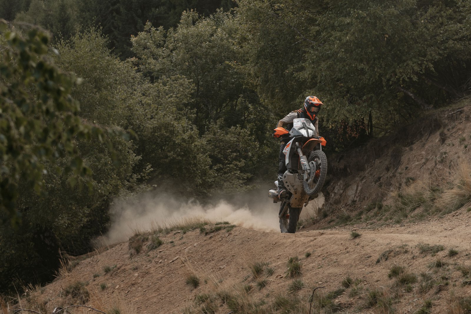 Rider throwing a wheelie on the Carpathian hillside