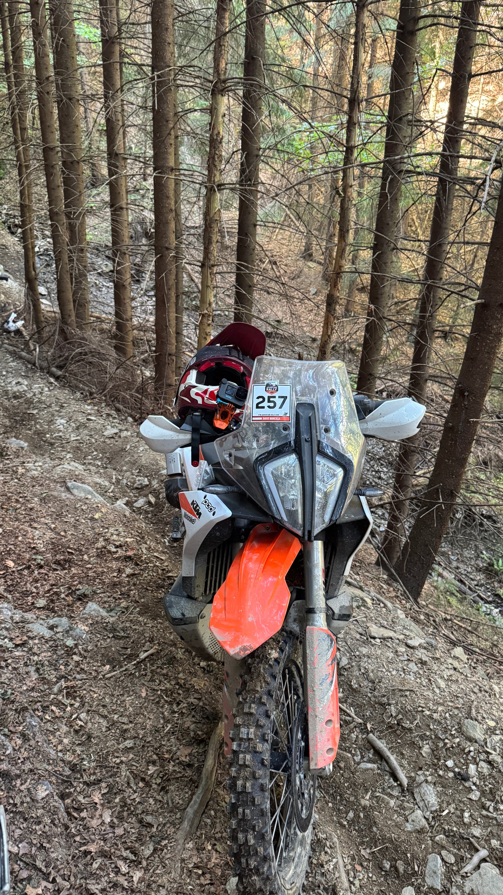 Off-road riding on Day 1 in the Carpathian forests